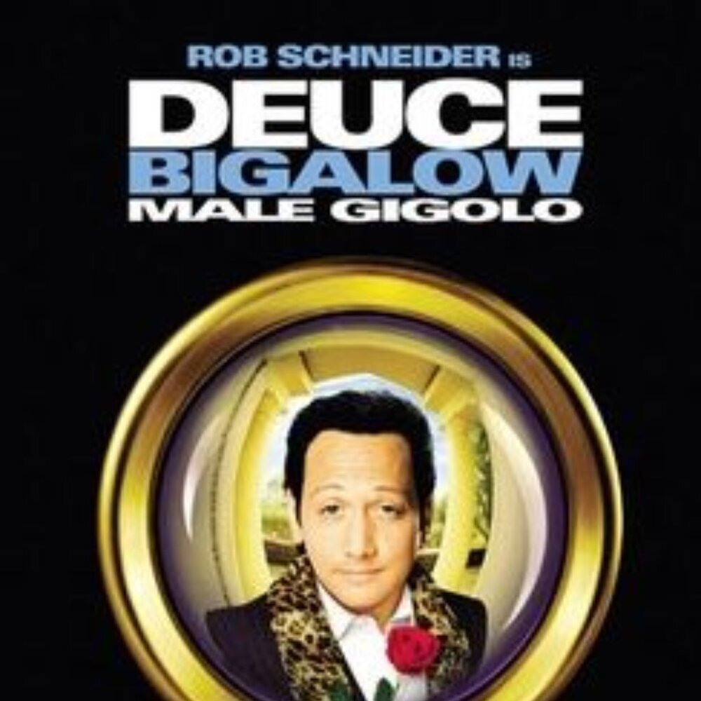 Deuce Bigalow: Male Gigolo (DVD)(1999) Rated R Widescreen